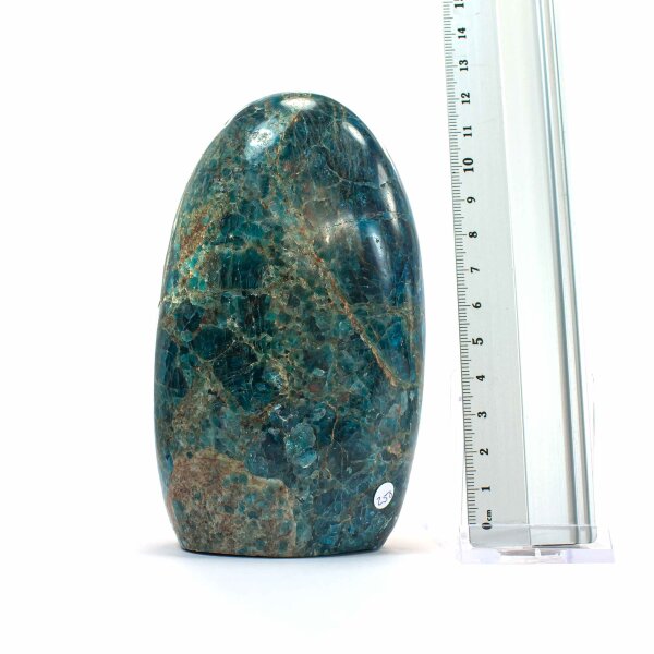 Apatit Single 125 mm - Nr. 258