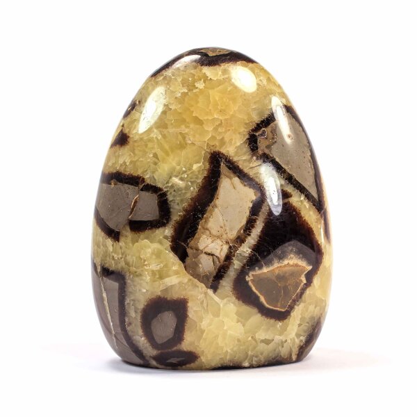 Septarie Single Freeform 119 mm - Nr. 592