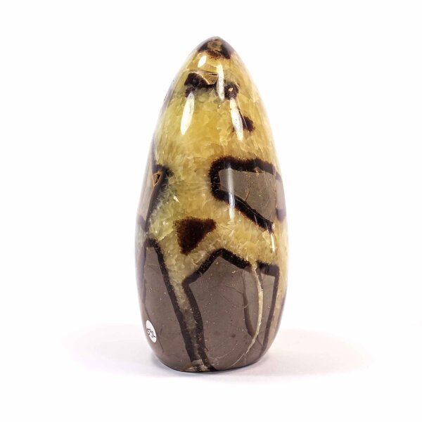 Septarie Single Freeform 119 mm - Nr. 592