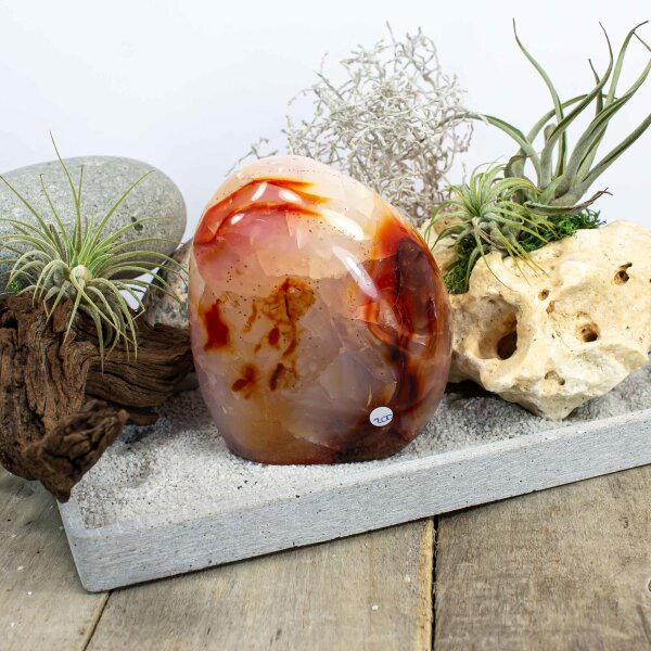 Karneol Single 102 mm - Nr. 200