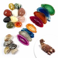 Adventskalender 24 tlg. Füllung Set 48  "1...