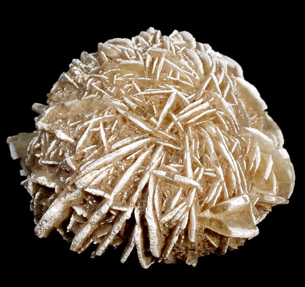 Sandrose 3 Stk. a´ ca. 25 mm