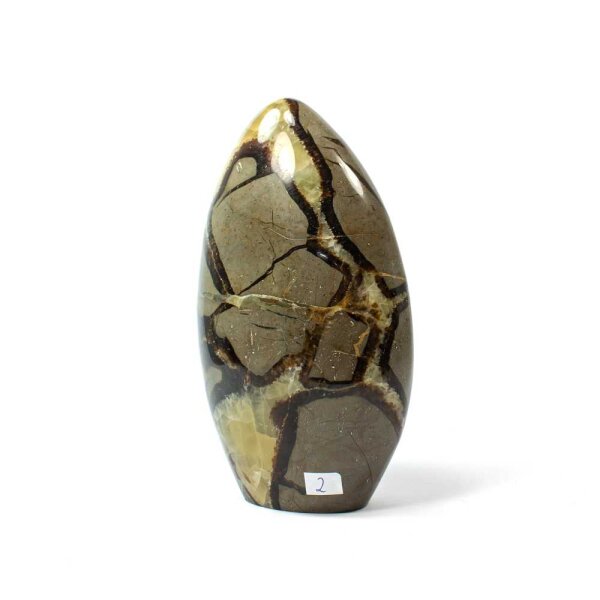 Septarie Single Freeform 151 mm - Nr. 002