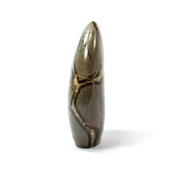 Septarie Single Freeform 151 mm - Nr. 002