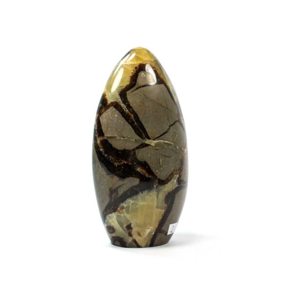 Septarie Single Freeform 151 mm - Nr. 002
