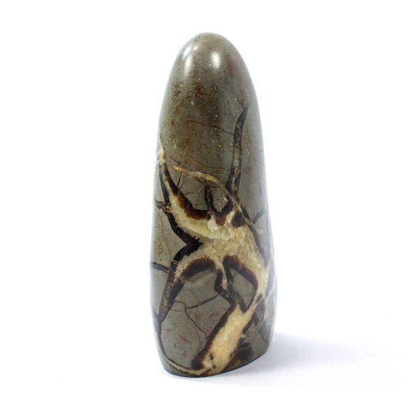 Septarie Single Freeform 143 mm - Nr. 004
