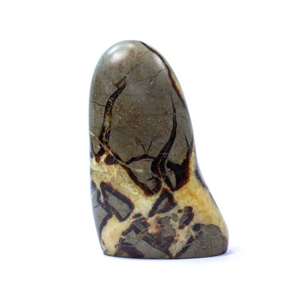Septarie Single Freeform 143 mm - Nr. 004