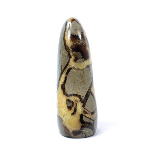 Septarie Single Freeform 143 mm - Nr. 004