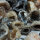 1 Stück Achat Geoden-Hälften 15-30 mm