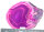  Achatscheibe Single Pink ca. 13 cm - 118 g