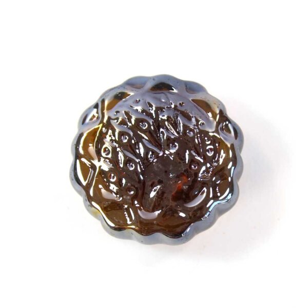 Motivnuggets Shine Blume Bernstein