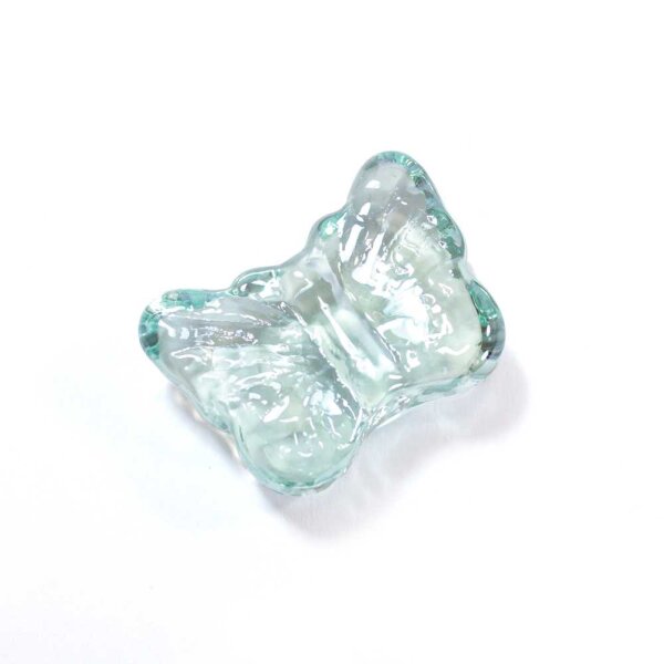 Motivnuggets Shine Schmetterling Türkis Hell