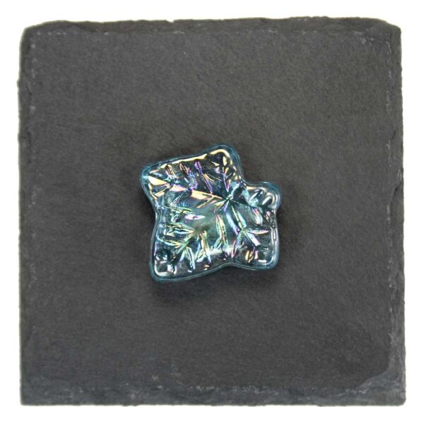 Motivnuggets Shine Ahornblatt Hellblau