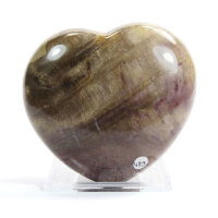 Versteinertes Holz Herz 496g