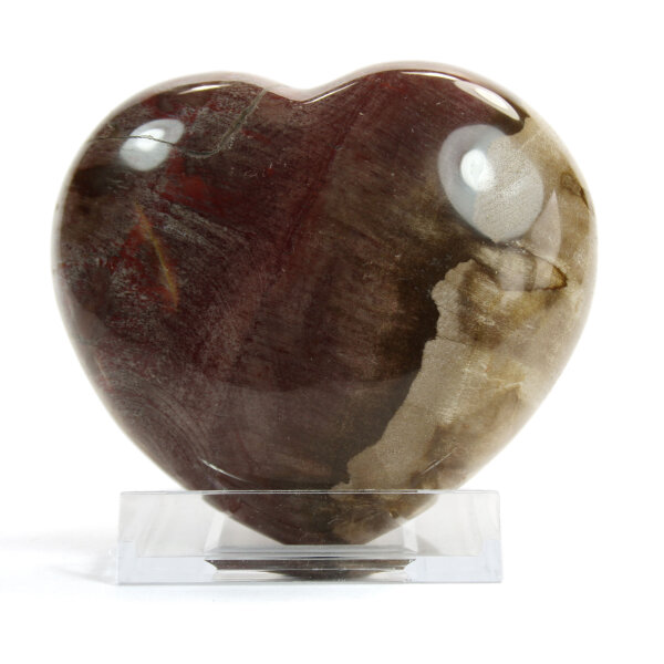Versteinertes Holz Herz 531g