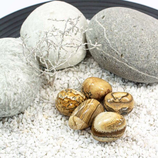 Landschafts Jaspis Südafrika Trommelstein 25-50mm 1 Stein