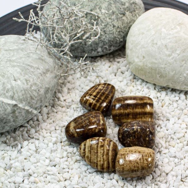 Aragonit Braun Peru Trommelstein 20-30mm 1 Stein