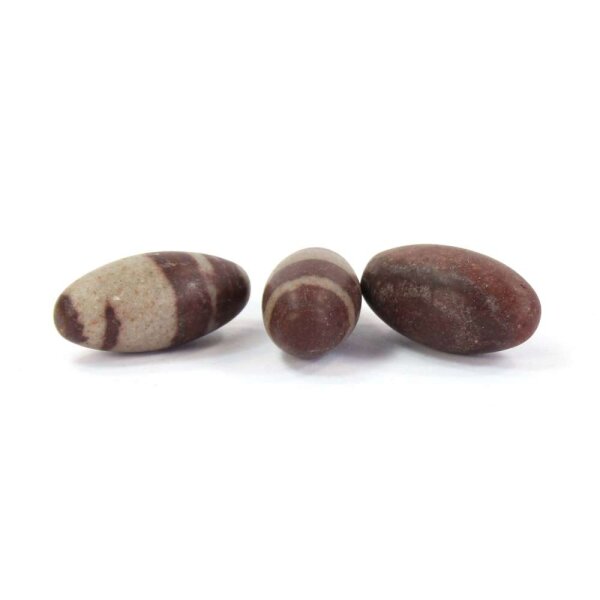 Shiva Lingam Trommelstein 20-30mm 100g