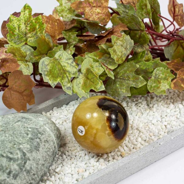 Septarie Kugel 47 mm - Nr. 298