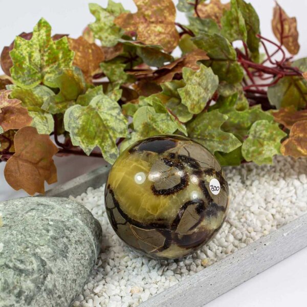 Septarie Kugel 61 mm - Nr. 300