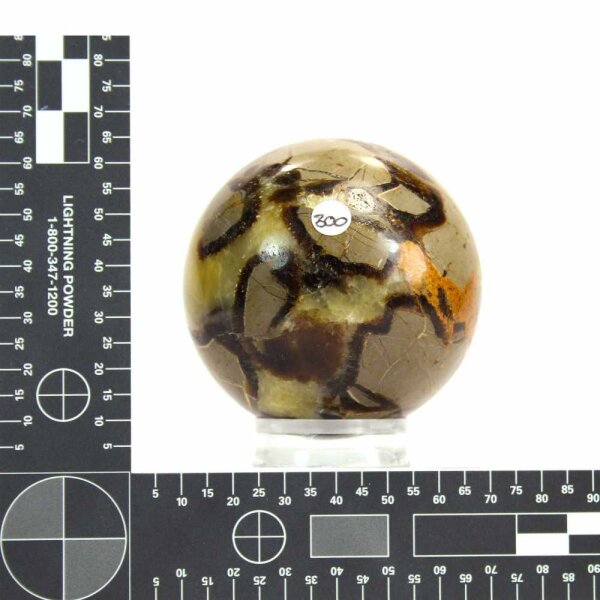 Septarie Kugel 61 mm - Nr. 300