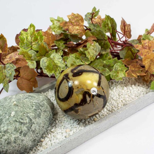 Septarie Kugel 66 mm - Nr. 294