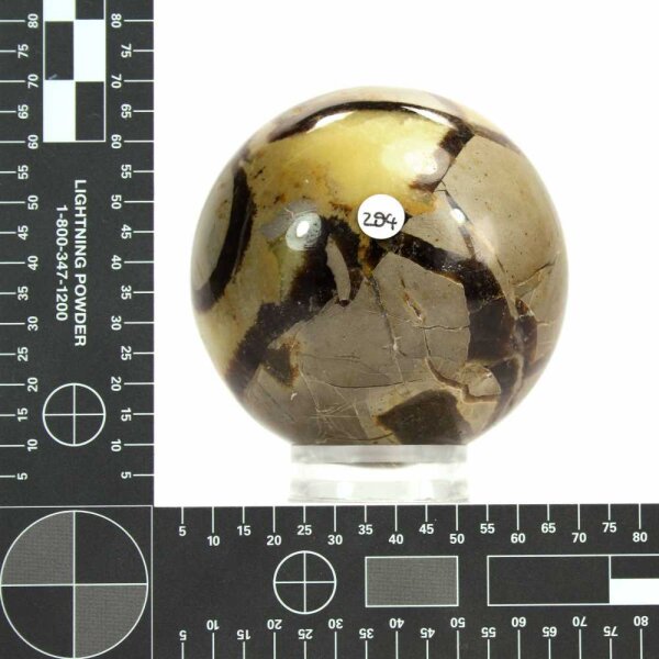 Septarie Kugel 66 mm - Nr. 294