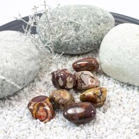 Bird Eye Jaspis Trommelstein 10-30mm 100g