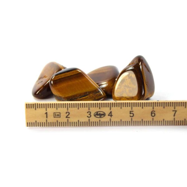 Tigerauge Brasilien Trommelstein 20-30mm 100g