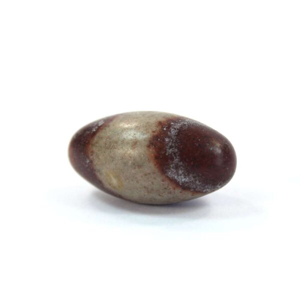 Shiva Lingam Trommelstein 20-30mm 1 Stein