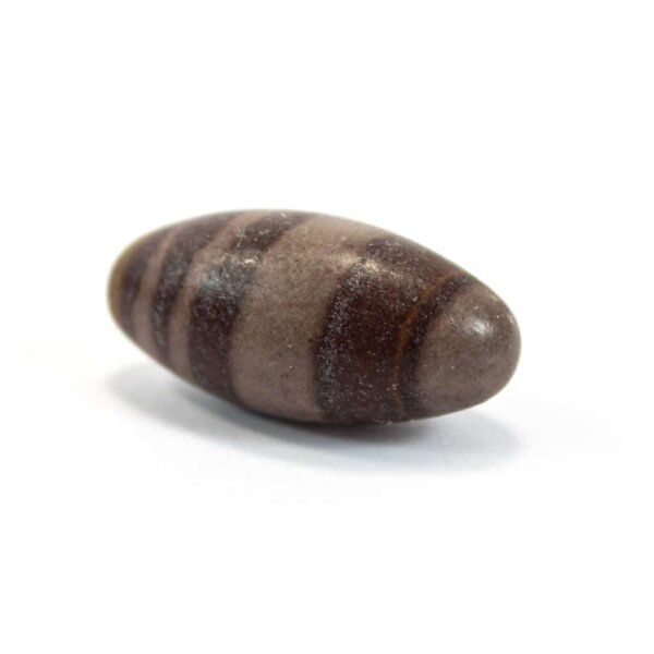 Shiva Lingam Trommelstein 20-30mm 1 Stein
