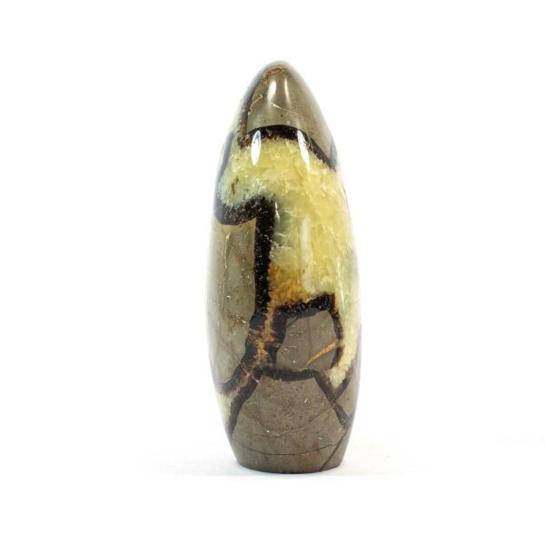 Septarie Single Freeform 98 mm - Nr. 180