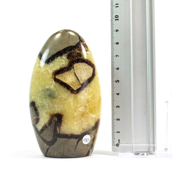 Septarie Single Freeform 98 mm - Nr. 180