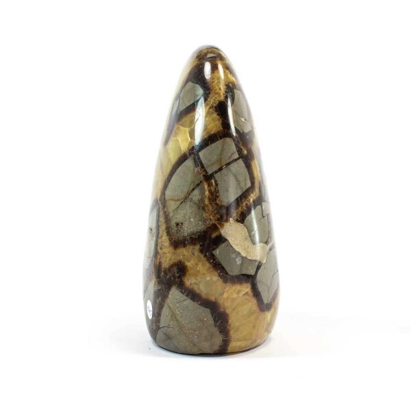 Septarie Single Freeform 121 mm - Nr. 175