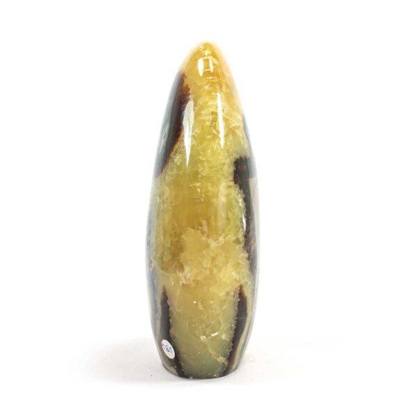 Septarie Single Freeform 125 mm - Nr. 161
