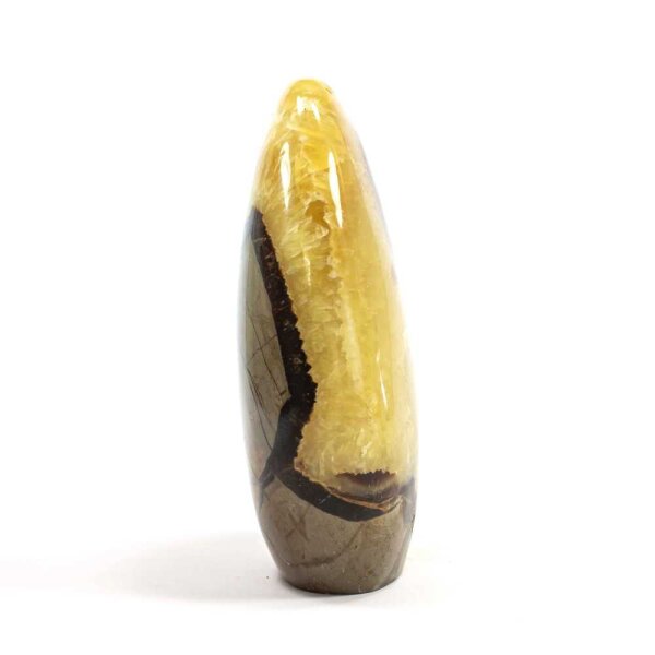 Septarie Single Freeform 125 mm - Nr. 161