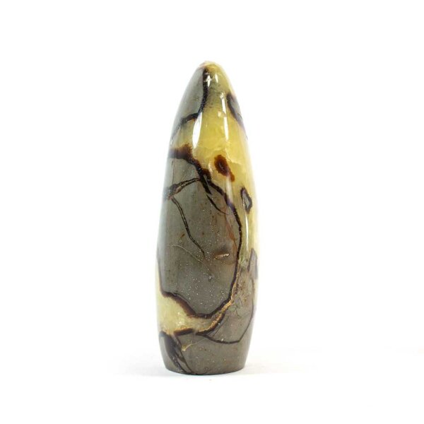 Septarie Single Freeform 105 mm - Nr. 181