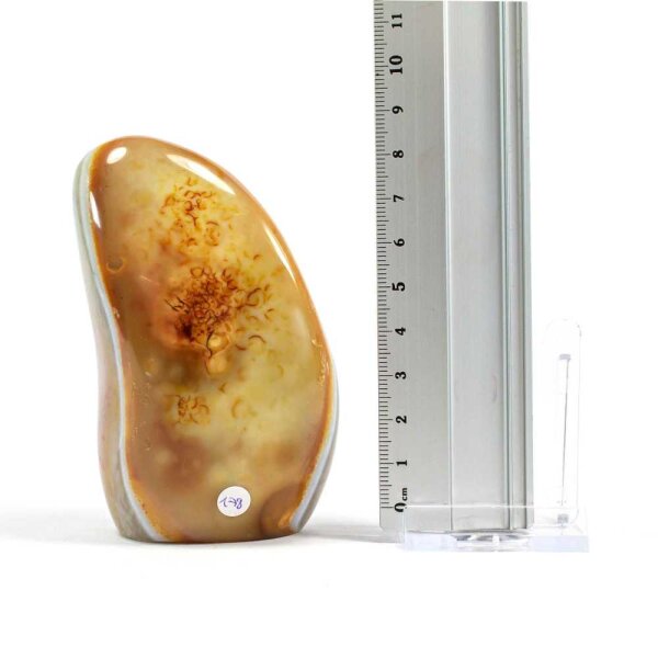 Karneol Single 92 mm - Nr. 178